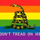 Illustration for article titled Marriage equality in the next US Republican Presidential primaries